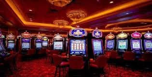 5wim bet