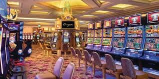 5wim bet