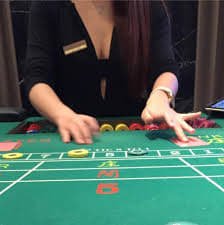 5wim bet